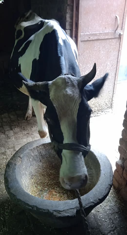 in UTTAR PRADESH