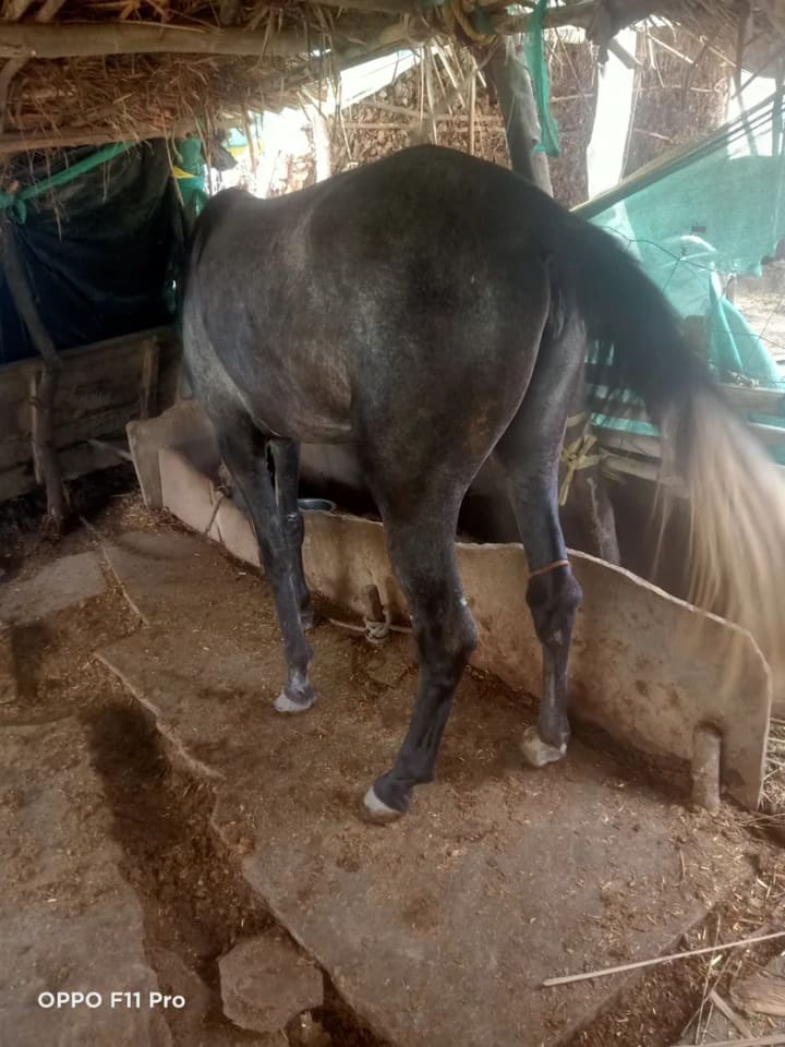 Others Others in MADHYA PRADESH