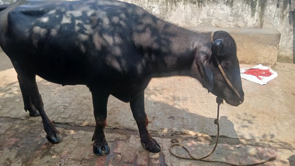 Others Others in UTTAR PRADESH
