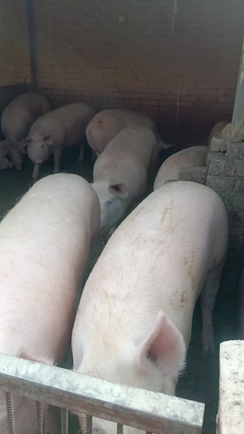 Others Others in  UTTAR PRADESH