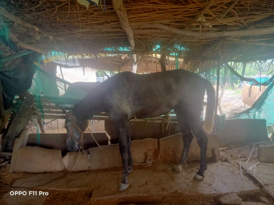 Others Others in MADHYA PRADESH