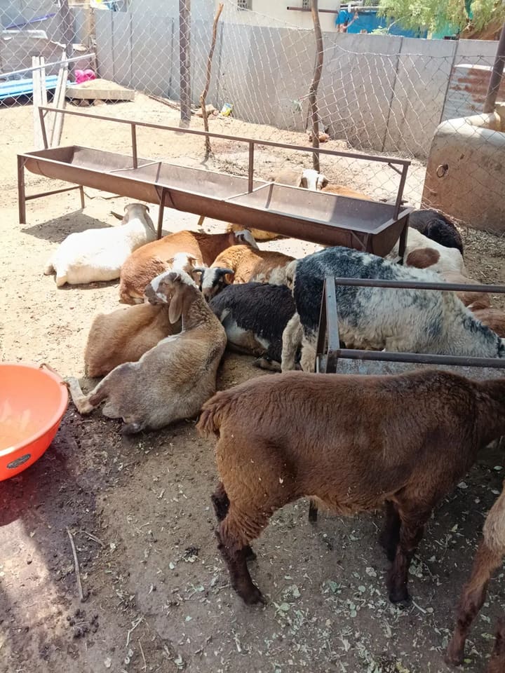 in ANDHRA PRADESH